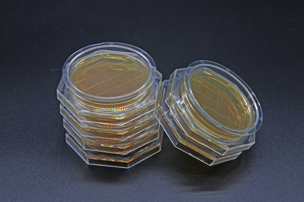 Contact Agar Medium 5x5