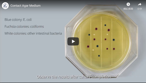 Contact Agar Medium